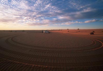 Westsahara, Mauretanien: Große Expedition ab Südmarokko - Geländefahrzeug mit Spuren im Wüstensand